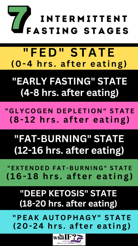 7 Intermittent Fasting Stages!