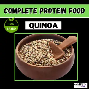 Quinoa is an excellent plant-based complete protein food