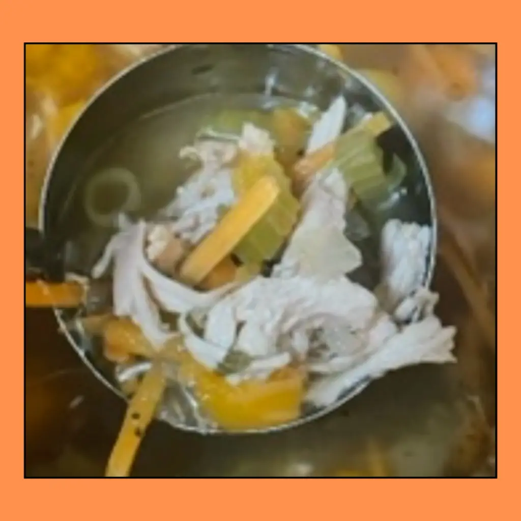 Chicken Noodle-less Soup