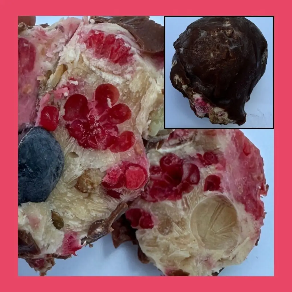 Protein Yogurt Berry Clusters